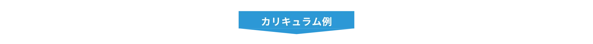 カリキュラム例